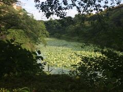 北の丸公園周り