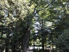 井の頭公園を抜けてジブリ美術館に向かいます。吉祥寺駅から20分くらい。