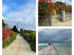 ブーゲンビリアの花が続く小道。濃いピンク色が青い空に映えてほんとうに綺麗です。映画の撮影にも使われるとのこと。