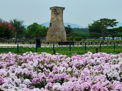 昨日は分らなかったけど、周囲は花畑でした。