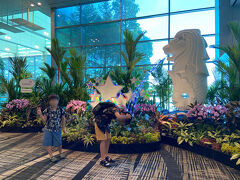 スケジュール通りにチャンギ到着。
マーライオンで洗髪する小５長男。