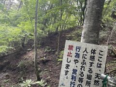 分杭峠 ゼロ磁場