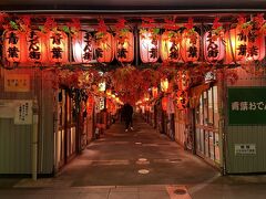 18:30頃、せっかくなので静岡おでんが食べられそうなお店がいいな～と思って吟味していましたが、どのお店も混んでいて入る余地なし…といった感じでした。