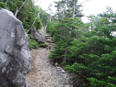 私は、ハイキングコースから外れ山登りへと進みます