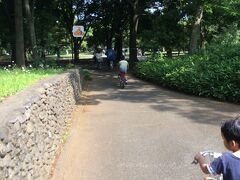 代々木公園のサイクリングロード