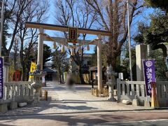 蛇窪神社に着きました。蛇窪神社というのは通称で正式名称は天祖神社だそうです。