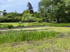 植物園にも行きました。
藤田記念庭園で、弘前城と植物園の３箇所の共通入場券を買ってしまったもので。