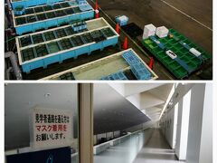 そのお隣が、複合施設「沼津魚市場INO」。

比較的新しい建物で、第１・第２市場と違い屋内。

清潔＆涼しく、セリなど見学できます。
でも、もう昼前。終わってましたー