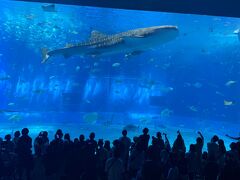 沖縄美ら海水族館