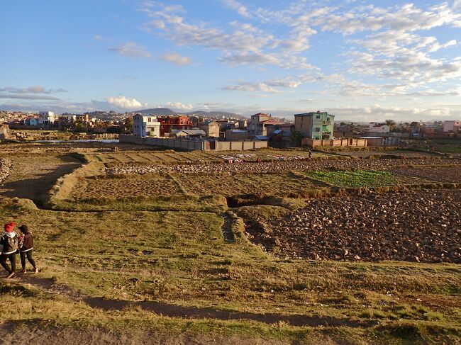 郊外の道をバスは走ります。