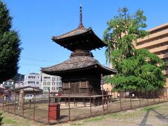 笠岡の公園にポツンと建つ遍照寺多宝塔。1606年の建立で、岡山県では最も古いもの。後ろの樹齢400年という枝垂れ銀杏が色づいた光景も見てみたい。