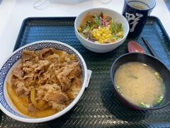 まず、沼田パーキングエリアの牛丼チェーン店にて、昼食をいただきました。