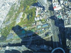 こちらは上から見た天王寺動物園