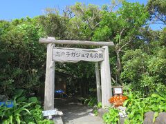 9:20　志戸子ガジュマル公園