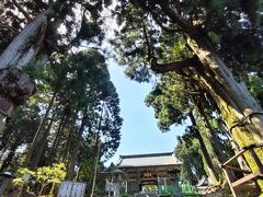 身延山の頂上には「奥之院」という寺の建物があり、その付近に立っている杉の木々が、これまた大きくてすばらしい☆