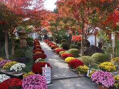 桐生を訪れて最初に訪れたのは市街中心地から離れた所にある宝徳寺。紅葉と菊の花が美しい