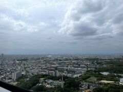 東山タワーにも登りました。名古屋の街がよく見えます。