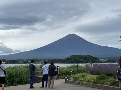 朝6時に自宅を出発しました。渋滞に引っかからず、8時前には河口湖の大石公園に到着。今日は雨予報ですが、まだ雨は降ってなくて、富士山を見えました。