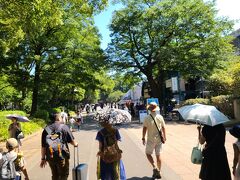 上野駅を出て3分程歩いて科博に近づいてきたところ。上野公園は日陰が多いので、暑いときは助かります。
