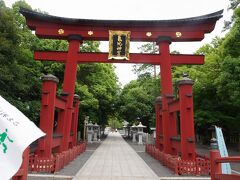 日本海さかな街で自由昼食後、最後の観光地は北陸道総鎮守と称される氣比神宮です。12時50分過ぎに到着です。本神社は予定の観光地には含まれておらず追加されたものです。日本三大木造鳥居の大鳥居（重文）です。高10.9ｍ（36尺）で、正保２年（1645）の造営です。クラブツーリズムの旗が少し写し込まれています。