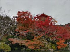 すごく混んでいたので清水寺は外からちょっと紅葉と鑑賞。やっぱり紅葉のハイシーズンなので混んではいます。