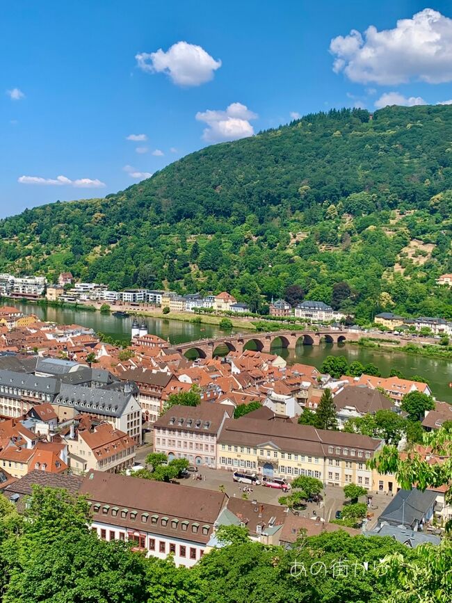 奥のテラスへ出ました。<br />ネッカー川に架かる〈カール・テオドール橋〉<br />と旧市街地<br />この風景を楽しみにしてきました。