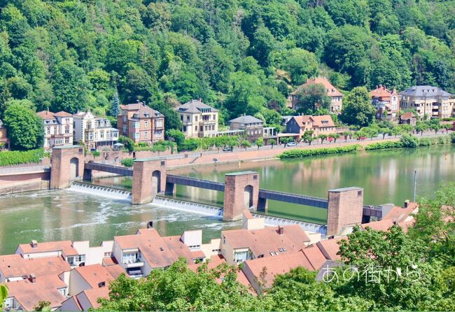 涼やかなネッカー川