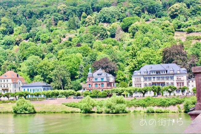 カール・テオドール橋からネッカー川のほとりを<br />眺めてみました。<br />そこには、絵のように美しい景色がありました。