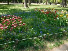 「円山公園」に到着。
花壇には色鮮やかな花々が咲いていて、とても綺麗～！