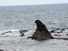 トトロの次はゴジラ
奥能登絶景海道と呼ばれる道沿いにあって、海岸から西の空に向かって、今にも炎を吹き出しそうな姿をしています。
北海道の知床のウトロにあるゴジラ岩は原寸大に近い巨大サイズでしたが、こちらは道路際にあるゴジラ岩の看板のところからどこにあるのか暫らく見つけるのに時間がかかるほど小さかったです。（笑）
でもその姿はそっくりでした。