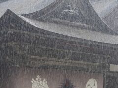 思わず正門の下で足が止まってしまいます。大玄関の寺院幕には寺紋の五三桐紋と三つ巴紋が染め抜かれています。川瀬巴水の版画のような雨が写っています。