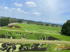 1番有名な鏡石の田んぼアートに行きました。
色んな種類の稲を植えてアートにします。

今年は牛です。
毎年色んなテーマで植えてるみたいです。

福島は見どころ一杯でした。
福島　満喫した！
