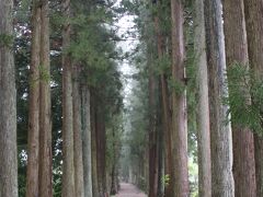 眼目山立山寺
山門への参道は、約300mの栂並木、樹齢400年、高さ約20m
雨で足元が悪いので入口で諦めました。
後で調べたところ、
本堂の近くに駐車場がありました。