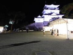 ライトアップされた小田原城が．とても綺麗でした．