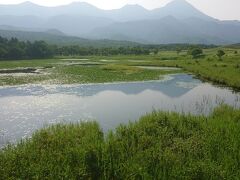 高架木道をゆっくり散策しながら20分程度で知床五湖のうち一湖に到着。ここが高架木道の終点です。ところどころに設置された展望所で写真撮りながら45分程度散策しました。