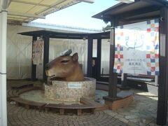 ぐらんぱる公園に隣接する、伊豆高原旅の駅ぐらんぱるぽーとの足湯です。