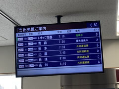 　今回は行きはバースデー割取れました。往復花巻まで32,600円。空港は平日ですが、そこそこな人だかりです。