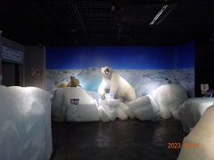 北海道立流氷科学センターは、朝９時から開館している。
まずはここに入館。