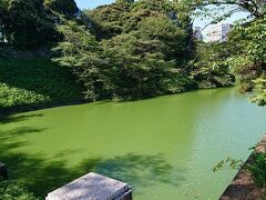 北の丸公園前、
田安門前側から眺めた「千鳥ケ淵」です。
緑色の水面が広々と映えてます。