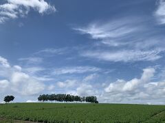 早起きをして羽田空港へ。
そして、7：45発のJAL便で旭川空港へ。

レンタカーを借りて向かったのは、今まで皆さんの写真を見ては憧れていた美瑛。
あ～～～夏休みが始まった！って感じ～