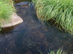 大滝湧水公園到着。
綺麗な小川が流れています。水に手を浸けるとヒンヤリとしてとても気持ちがいい。