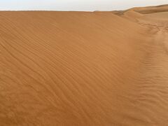 ２日目夕方は、砂漠へ。
『デザート・サファリ』

ランクルに乗り込み、砂漠をかけ走ります。