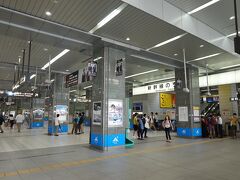 たかぢとの待ち合わせは静岡駅です。小田原駅から乗ったこだま709号はほぼ満席でした。10時前に到着です。