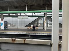 大宮を出て44分。次の停車駅、栃木駅に到着。

栃木駅には東武日光線とJR両毛線が乗り入れ。2000年代に高架化されました。