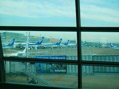 朝の羽田空港第２ターミナル。
八丈島へはANAが1日3往復飛んでいます。

地元の始発電車で来ても空港到着が6:30過ぎで離陸の１時間前でちょっと忙しなかったけど、荷物を預ける所も保安検査もスムーズでした。
搭乗口へ移動しながら飛行機を眺めます。