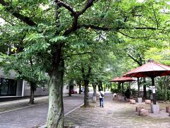 緑あふれる祇園界隈☆
この付近は、桜の季節は、もちろん綺麗で美しいけれど、いつの季節も風情があって、ザ・京都を楽しめますねー。