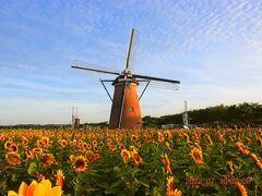 これがシンボルのオランダ風車リーフデ。
段々と日が差してきた。