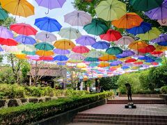 館林駅から歩いて15分ほどで遂に到着！
一面の空を覆い尽くす夏の風物詩アンブレラスカイです！