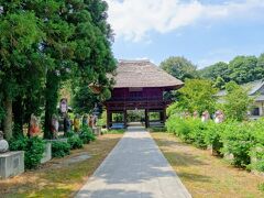 館林駅から車で10分ほど、茂林寺という寺院にやってきました。