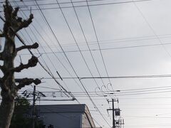 小樽のまちにやってきました。こちらは竜宮通り。龍宮神社から運河へとつづいていく道です。